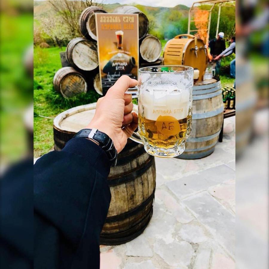 Brewery House&Beer Spa Aspindza 外观 照片