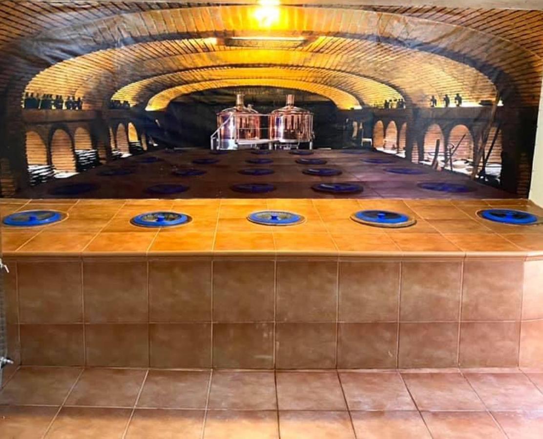 Brewery House&Beer Spa Aspindza 外观 照片
